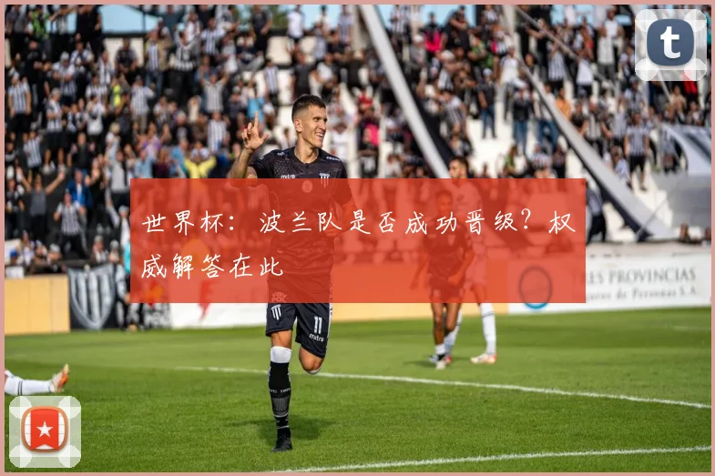 世界杯：波兰队是否成功晋级？权威解答在此