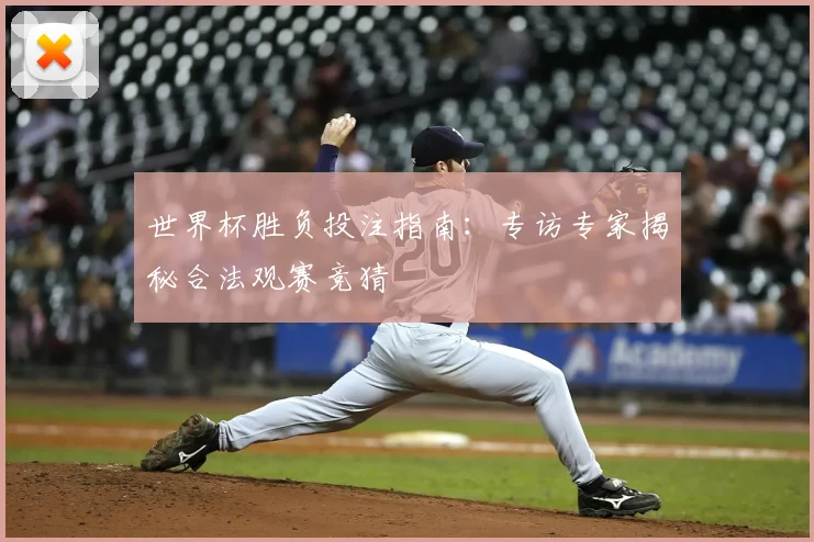 世界杯胜负投注指南:专访专家揭秘合法观赛竞猜