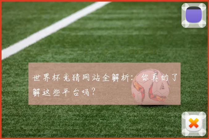 世界杯竞猜网站全解析:你真的了解这些平台吗?