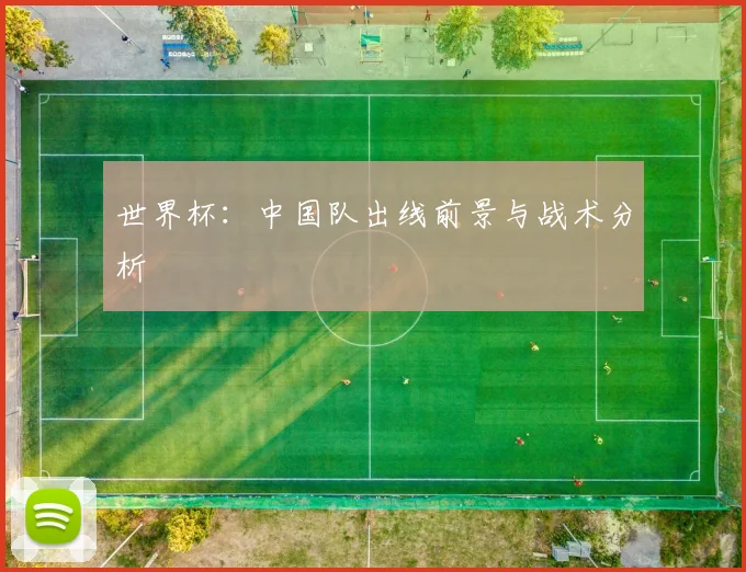 世界杯：中国队出线前景与战术分析