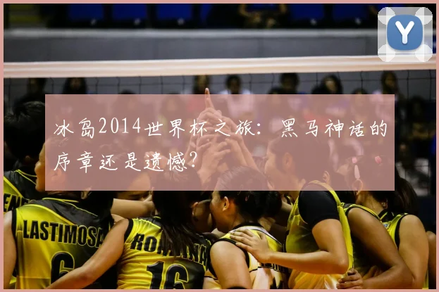 冰岛2014世界杯之旅:黑马神话的序章还是遗憾?
