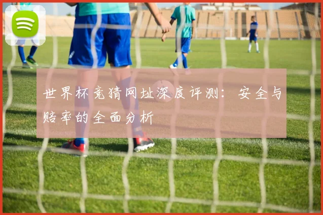 世界杯竞猜网址深度评测：安全与赔率的全面分析