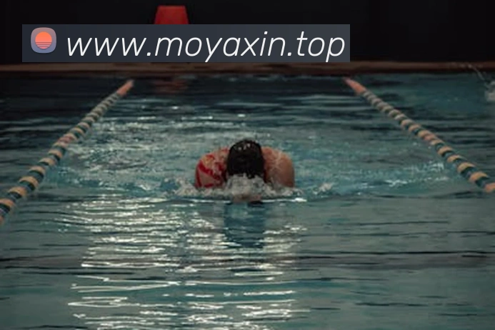 多媒体互动体验